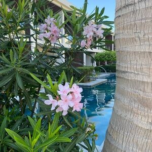 Meet your Posher, S!